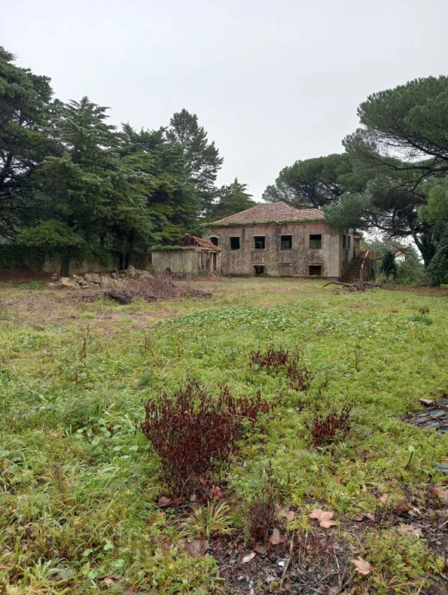 Moradia T3 para Venda em Santa Maria e São Miguel, São Martinho, São Pedro Penaferrim Foto 2