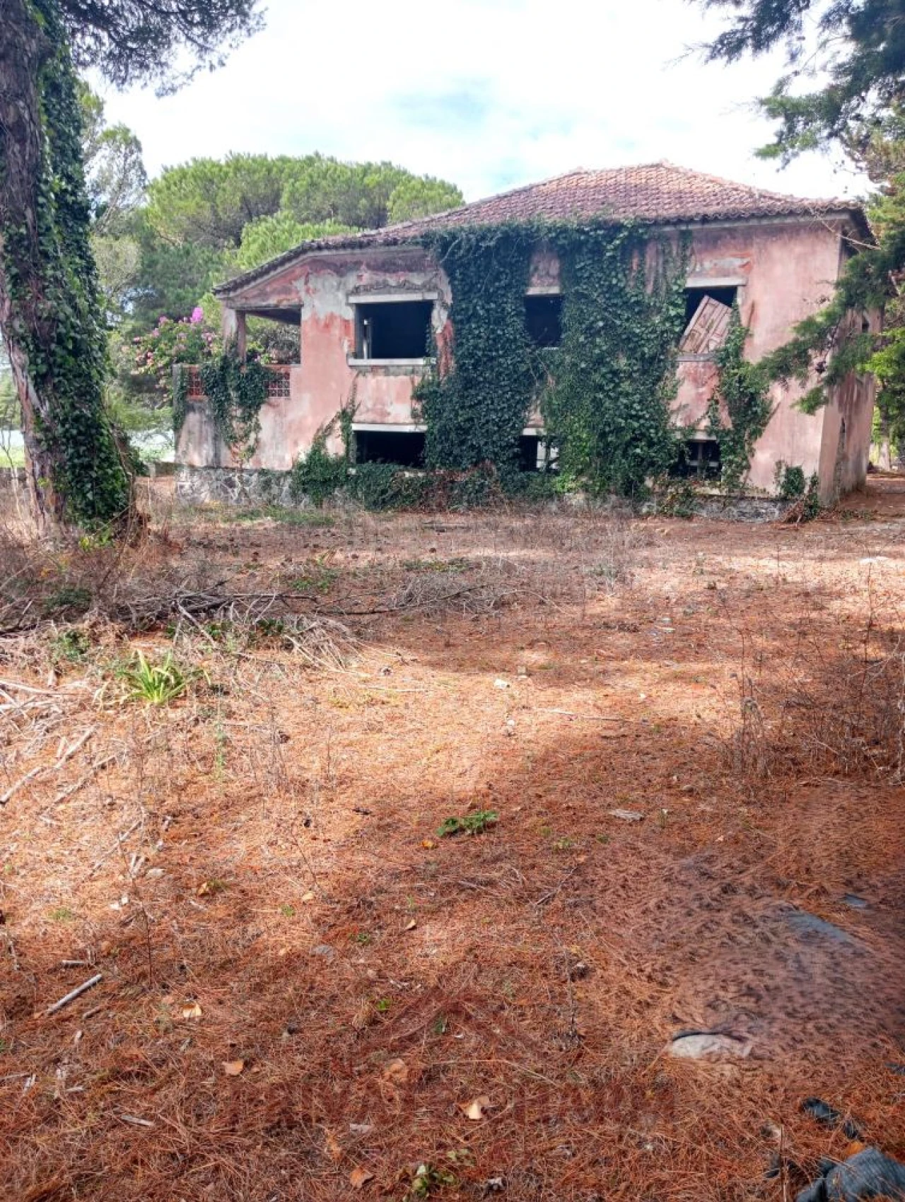 Moradia T3 para Venda em Santa Maria e São Miguel, São Martinho, São Pedro Penaferrim Foto 6