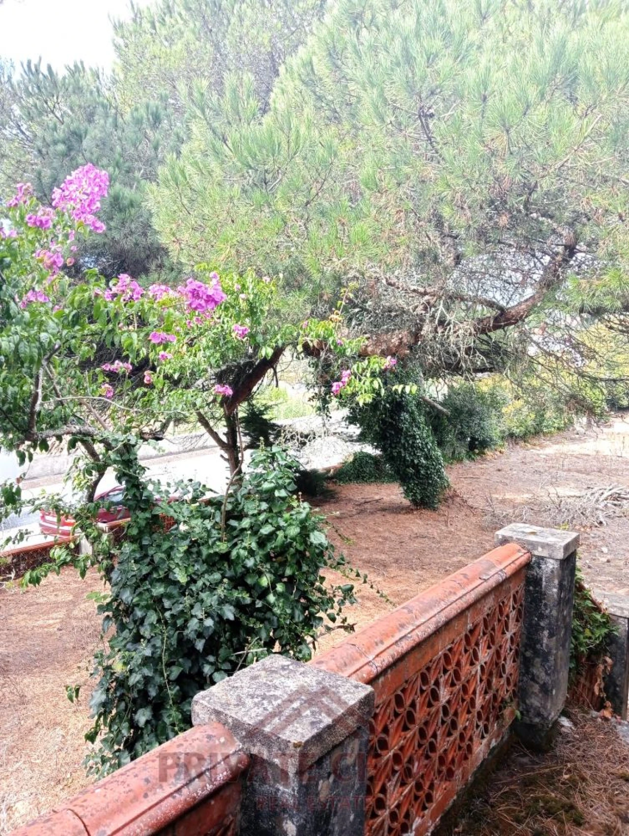 Moradia T3 para Venda em Santa Maria e São Miguel, São Martinho, São Pedro Penaferrim Foto 5