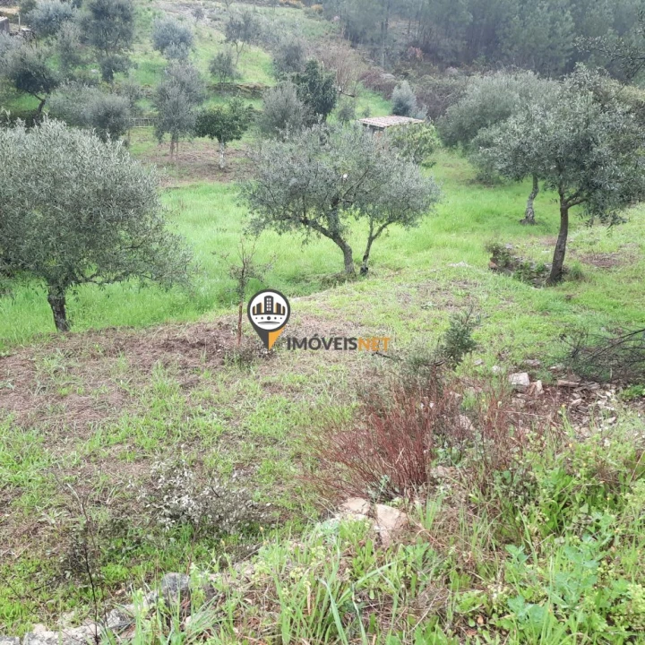 Terreno para Venda em Vila Velha de Rodão Foto 8