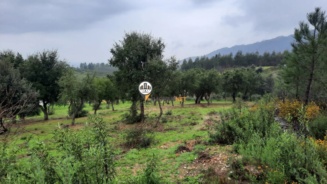 Terreno para Venda em Vila Velha de Rodão Foto 1