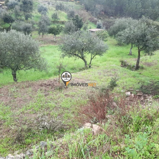 Terreno para Venda em Vila Velha de Rodão Foto 8