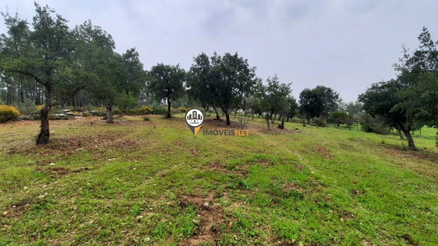 Terreno para Venda em Vila Velha de Rodão Foto 5