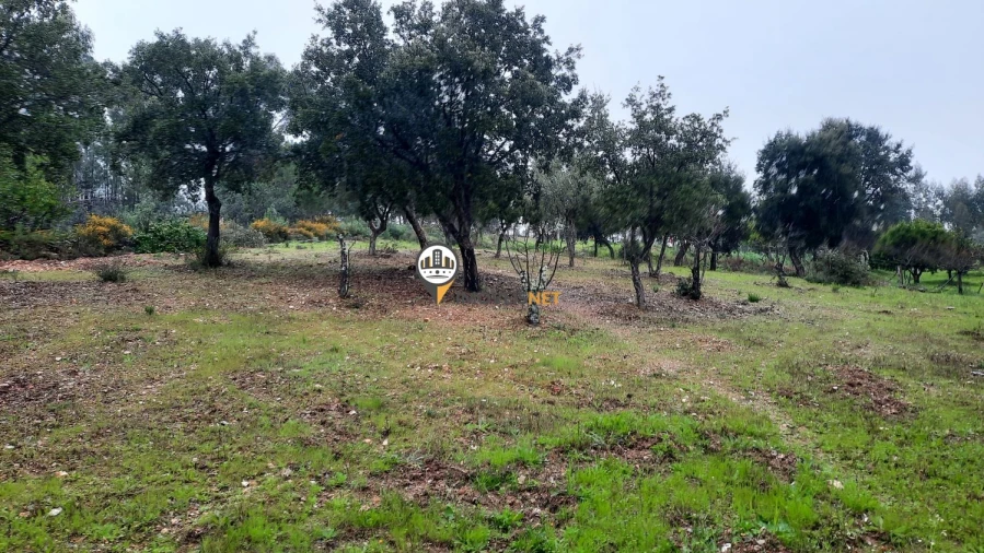Terreno para Venda em Vila Velha de Rodão Foto 4