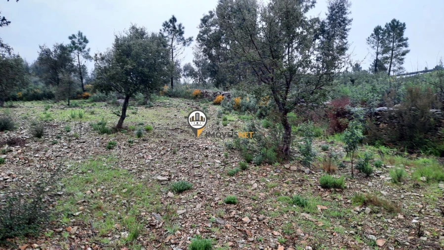 Terreno para Venda em Vila Velha de Rodão Foto 15