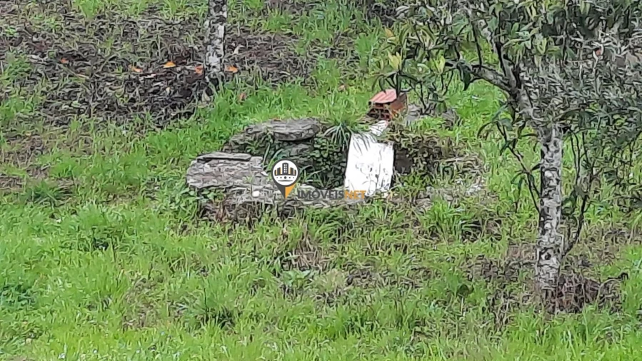 Terreno para Venda em Vila Velha de Rodão Foto 3