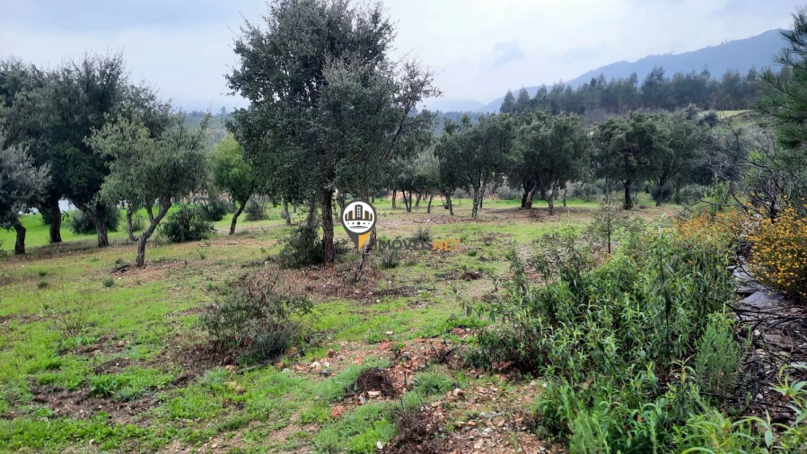 Terreno para Venda em Vila Velha de Rodão Foto 17