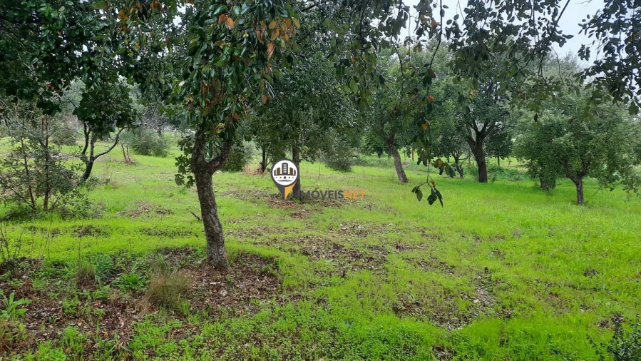 Terreno para Venda em Vila Velha de Rodão Foto 2