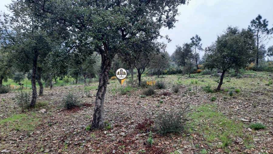 Terreno para Venda em Vila Velha de Rodão Foto 14
