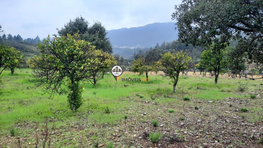 Terreno para Venda em Vila Velha de Rodão Foto 12