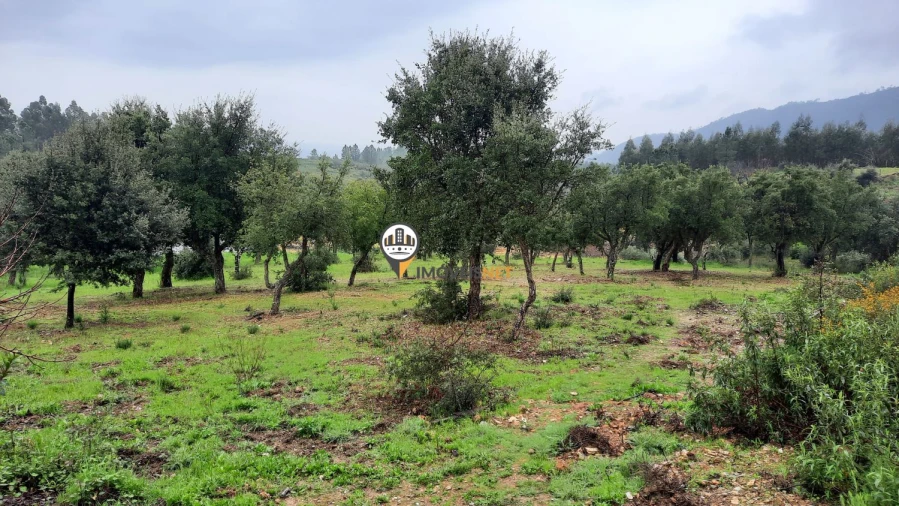 Terreno para Venda em Vila Velha de Rodão Foto 16