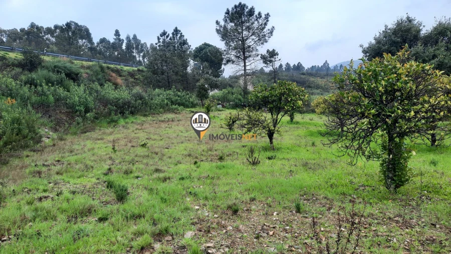 Terreno para Venda em Vila Velha de Rodão Foto 13