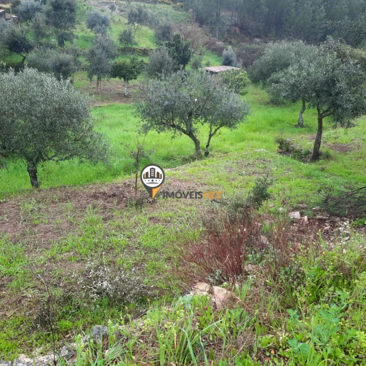 Terreno para Venda em Vila Velha de Rodão Foto 7