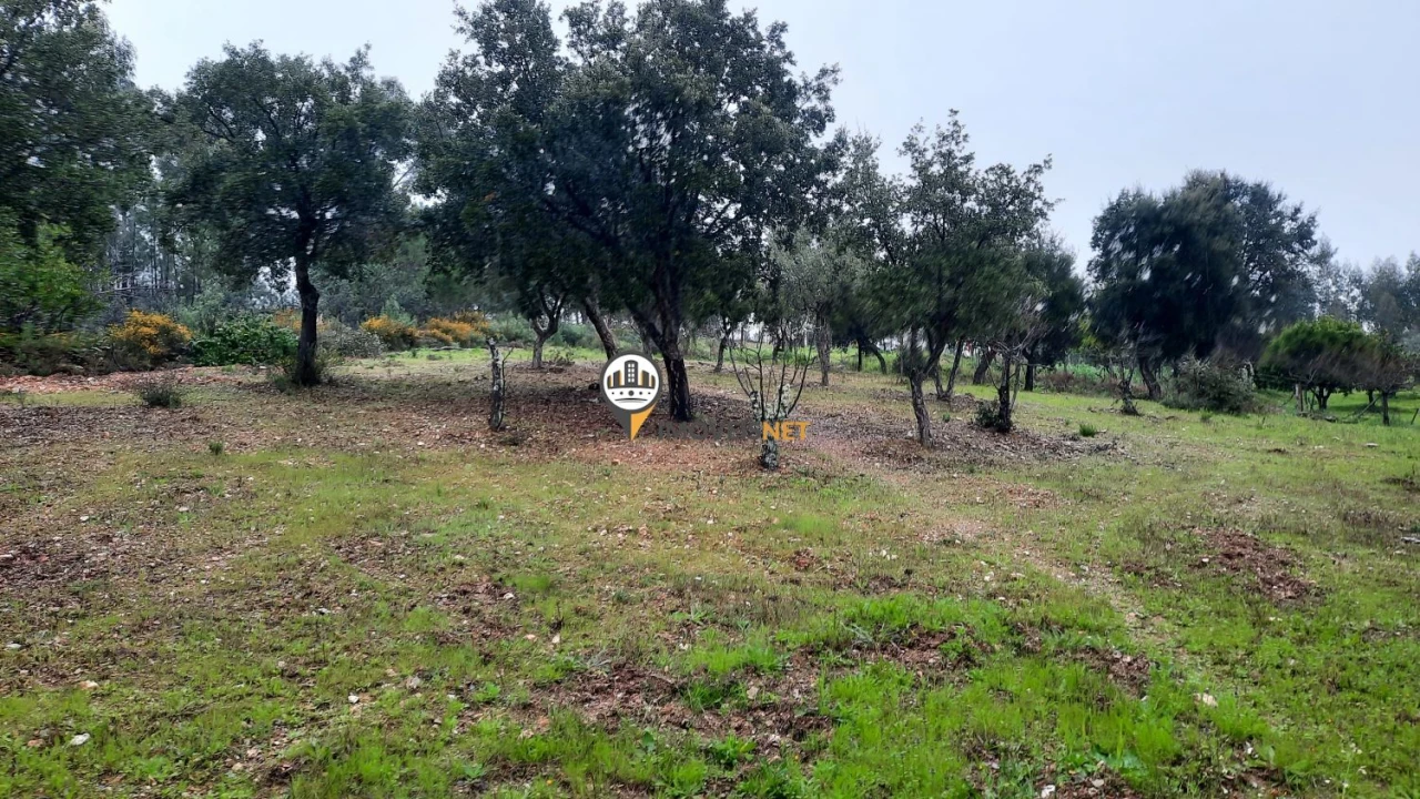 Terreno para Venda em Vila Velha de Rodão Foto 4