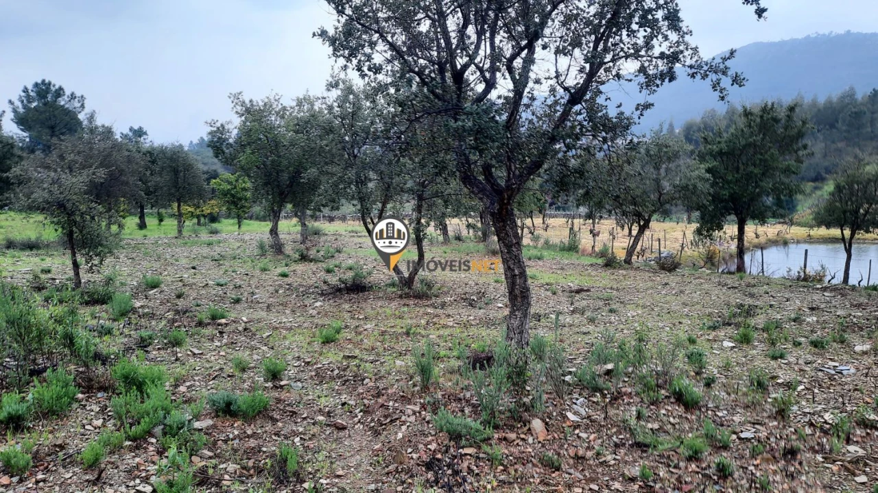 Terreno para Venda em Vila Velha de Rodão Foto 10