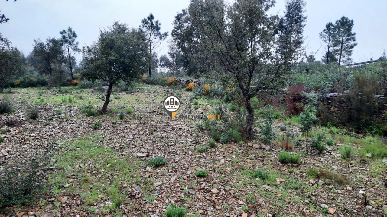 Terreno para Venda em Vila Velha de Rodão Foto 15