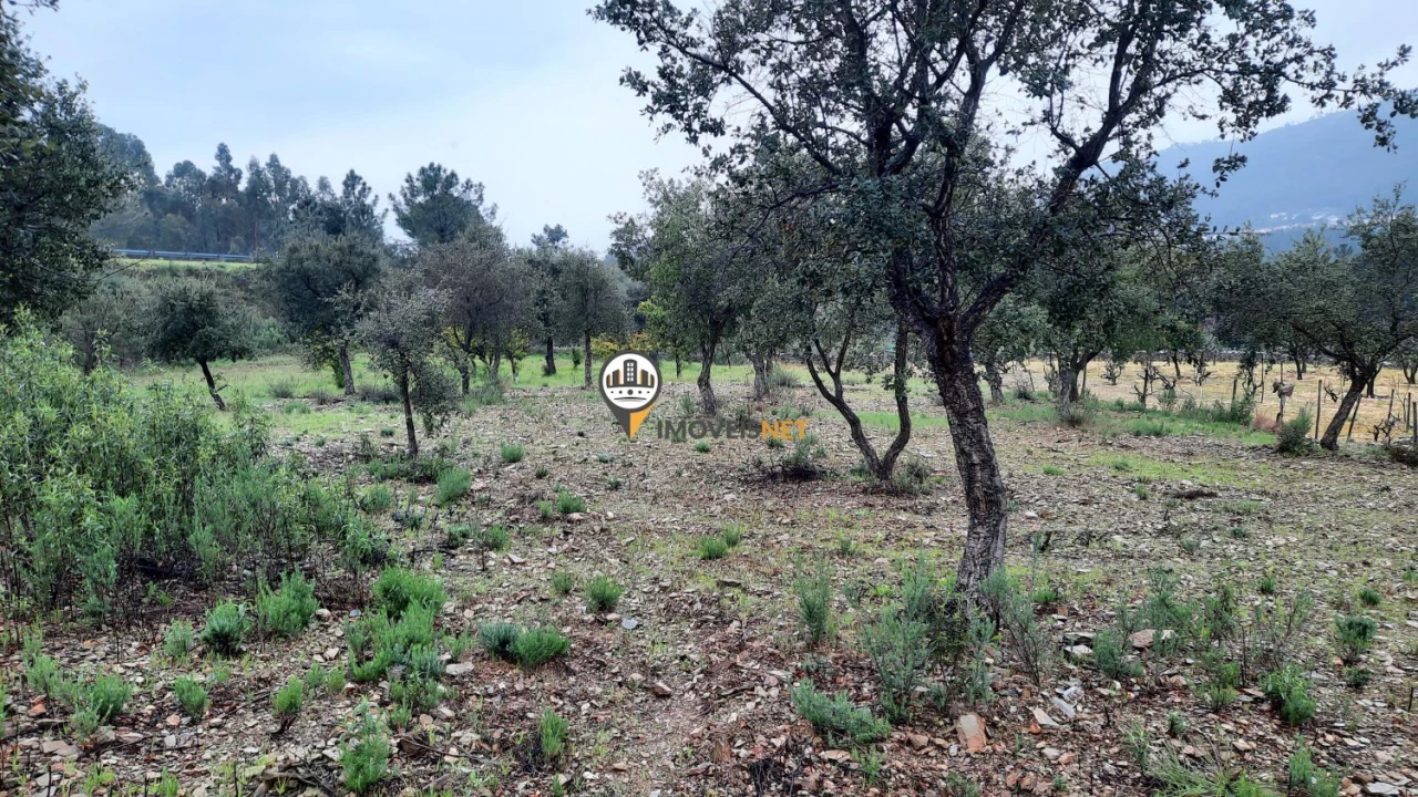 Terreno para Venda em Vila Velha de Rodão Foto 11