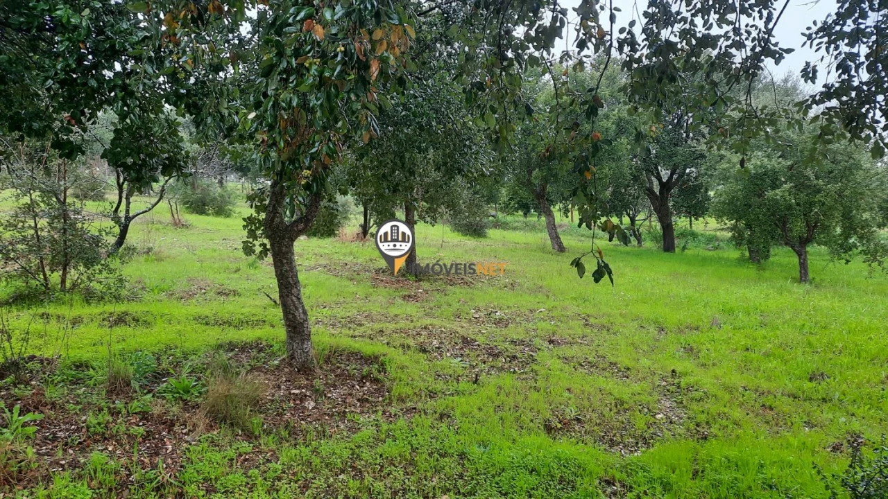 Terreno para Venda em Vila Velha de Rodão Foto 2