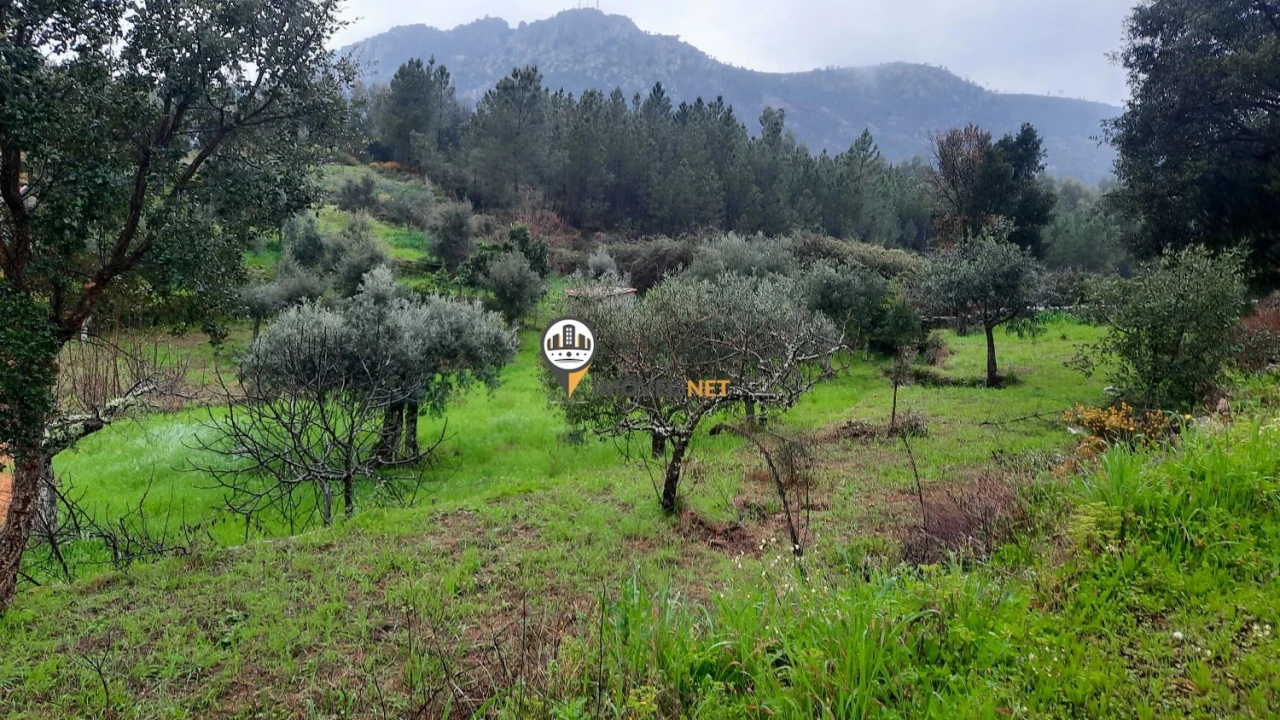 Terreno para Venda em Vila Velha de Rodão Foto 9