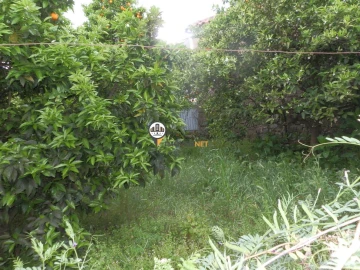 Moradia T4 para Venda em Castelo Branco