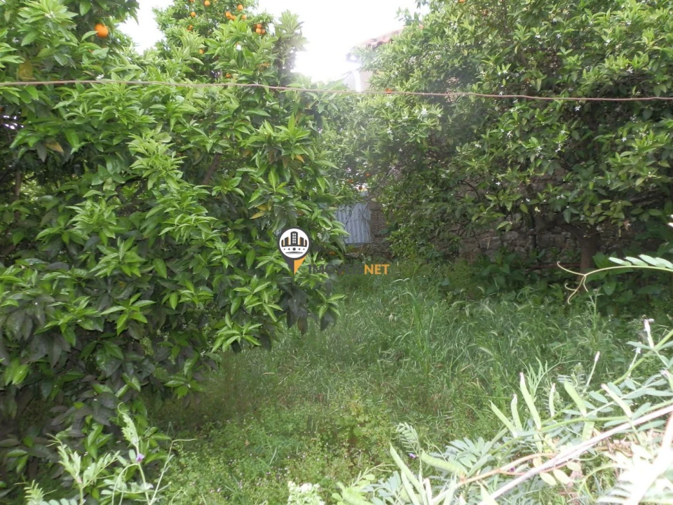 Moradia T4 para Venda em Castelo Branco Foto 19