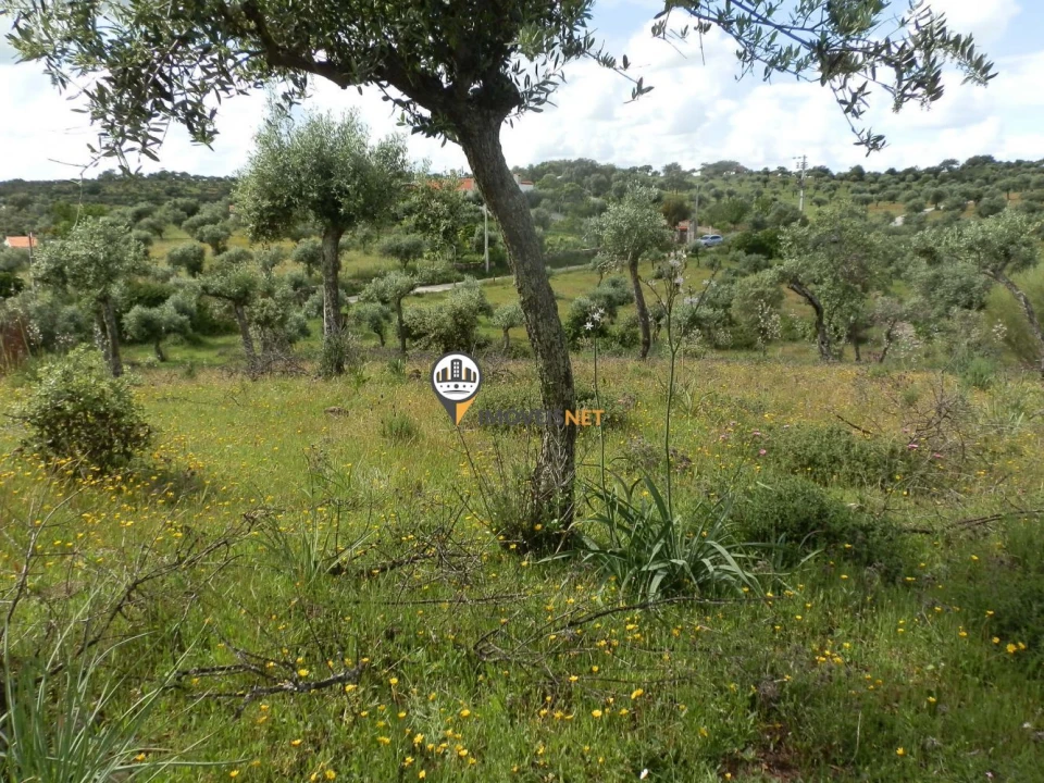 Terreno para Venda em Castelo Branco Foto 7
