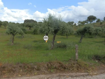 Terreno para Venda em Castelo Branco