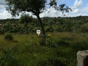 Terreno para Venda em Castelo Branco