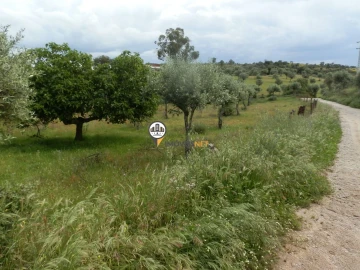 Terreno para Venda em Castelo Branco