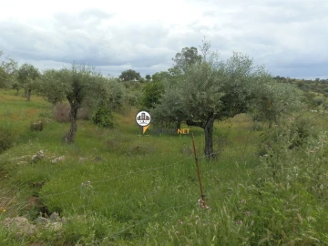 Terreno para Venda em Castelo Branco