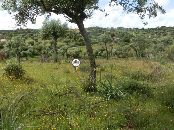 Terreno para Venda em Castelo Branco Foto 7