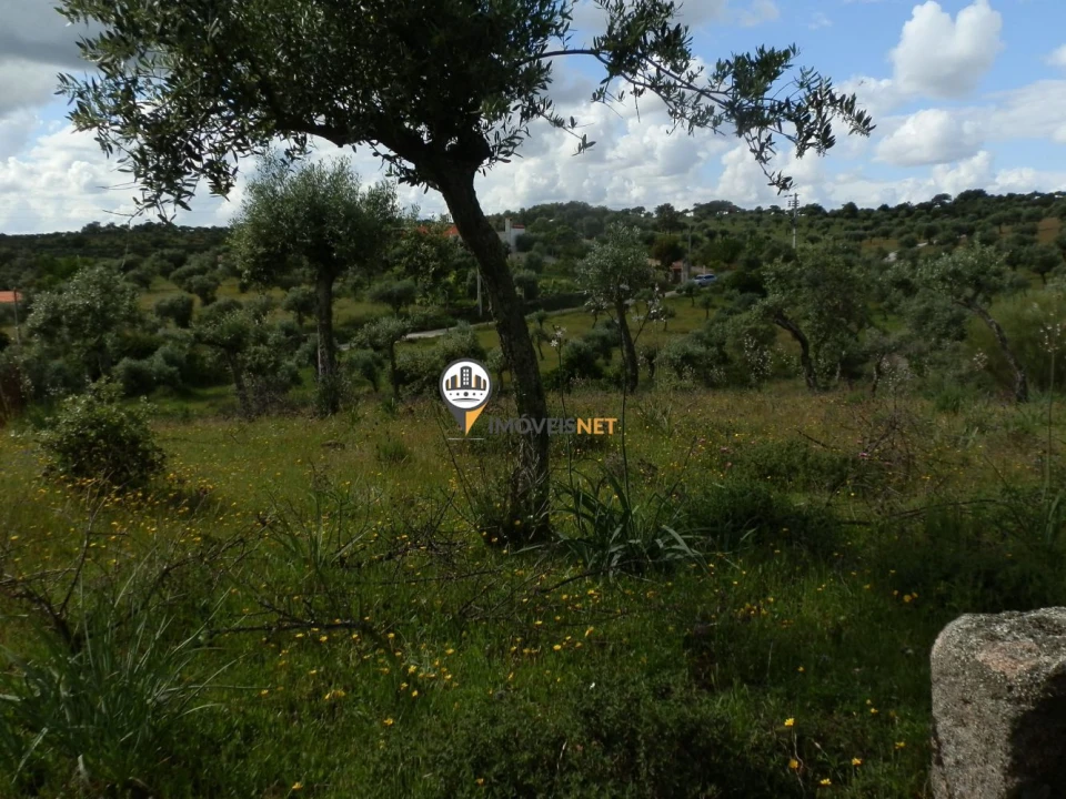 Terreno para Venda em Castelo Branco Foto 8
