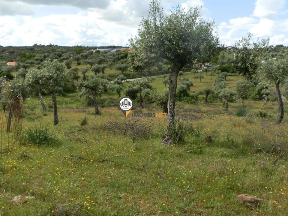 Terreno para Venda em Castelo Branco Foto 1