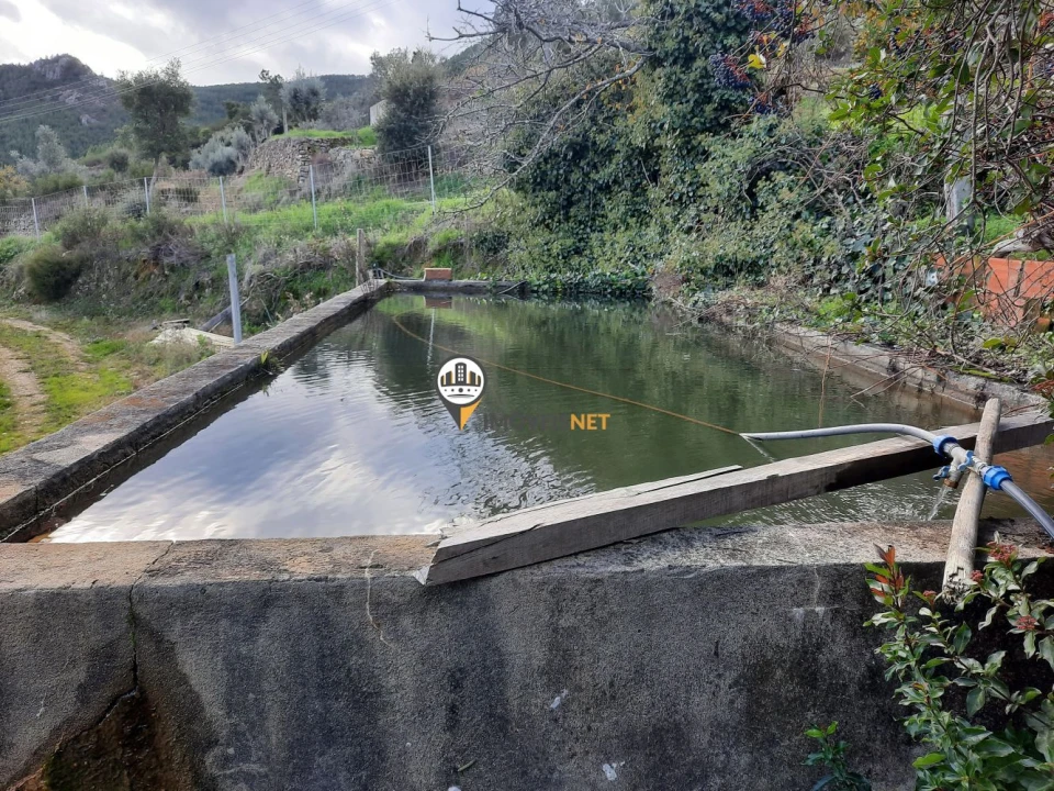 Moradia T5 para Venda em Proença-A-Nova e Peral Foto 30