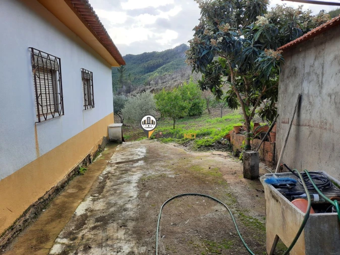 Moradia T5 para Venda em Proença-A-Nova e Peral Foto 18