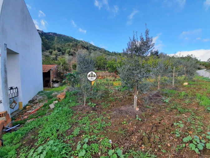 Moradia T5 para Venda em Proença-A-Nova e Peral Foto 26