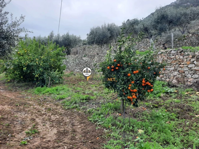 Moradia T5 para Venda em Proença-A-Nova e Peral Foto 38