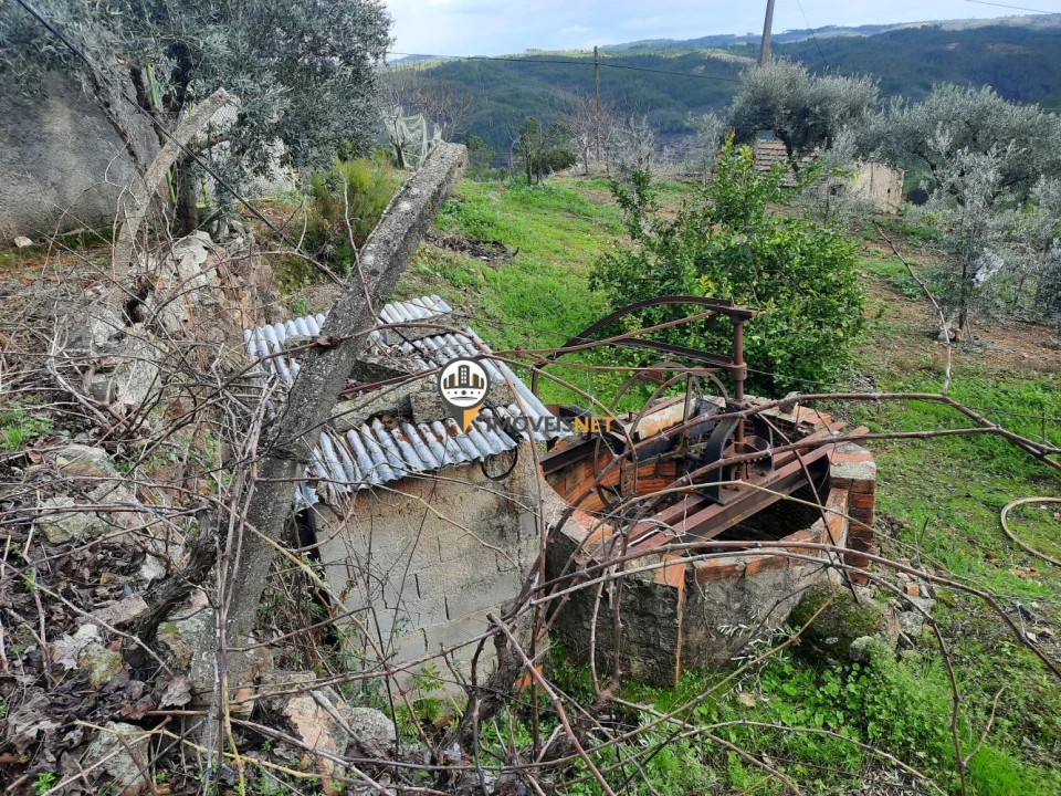 Moradia T5 para Venda em Proença-A-Nova e Peral Foto 31