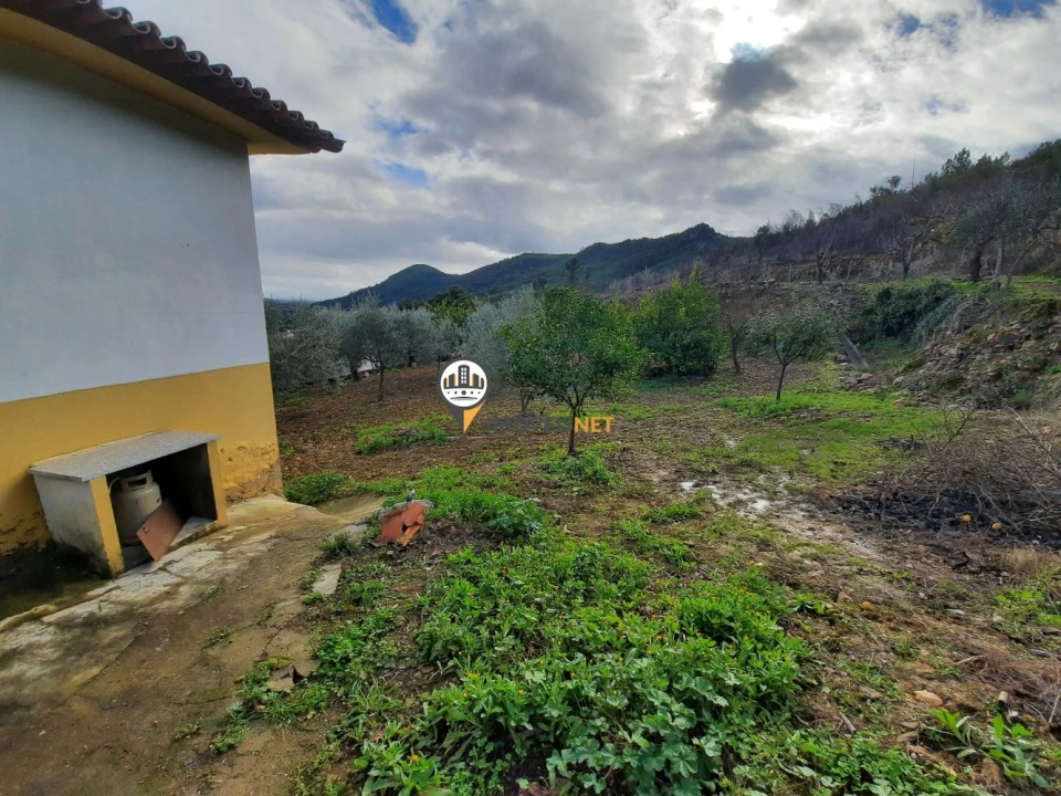 Moradia T5 para Venda em Proença-A-Nova e Peral Foto 22