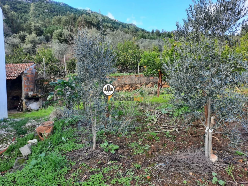 Moradia T5 para Venda em Proença-A-Nova e Peral Foto 25