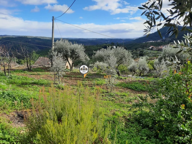 Terreno para Venda em Proença-A-Nova e Peral Foto 6