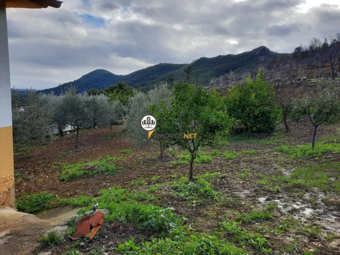 Terreno para Venda em Proença-A-Nova e Peral Foto 24