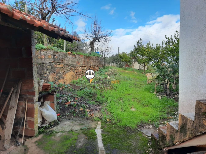 Terreno para Venda em Proença-A-Nova e Peral Foto 20