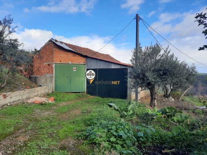 Terreno para Venda em Proença-A-Nova e Peral Foto 17