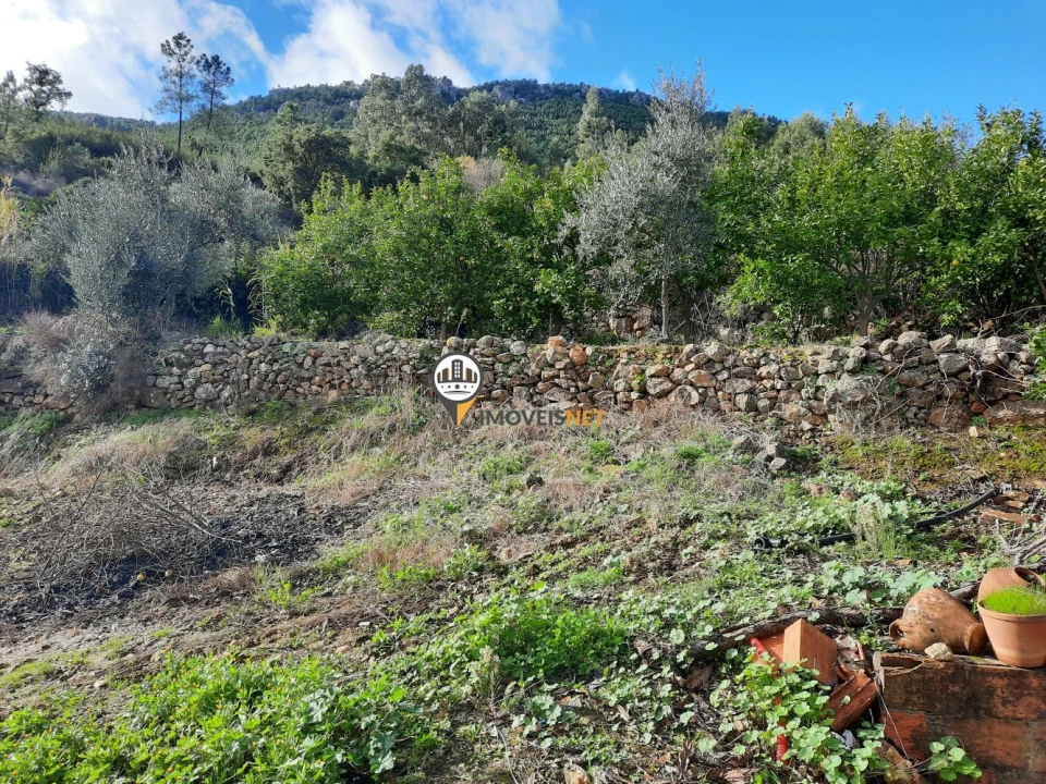 Terreno para Venda em Proença-A-Nova e Peral Foto 25