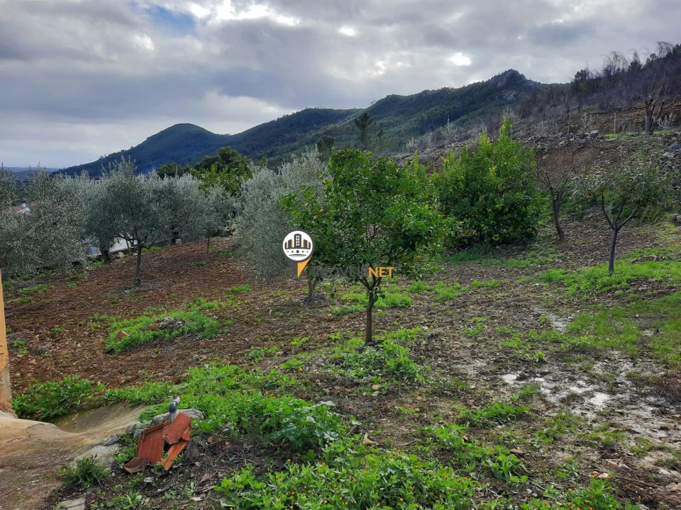 Terreno para Venda em Proença-A-Nova e Peral Foto 22