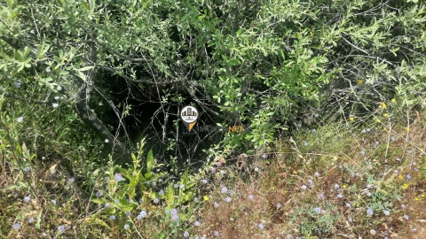Terreno para Venda em Castelo Branco