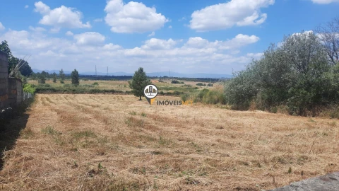Terreno para Venda em Castelo Branco