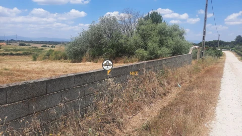 Terreno para Venda em Castelo Branco