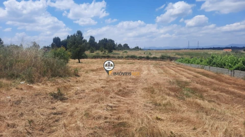 Terreno para Venda em Castelo Branco